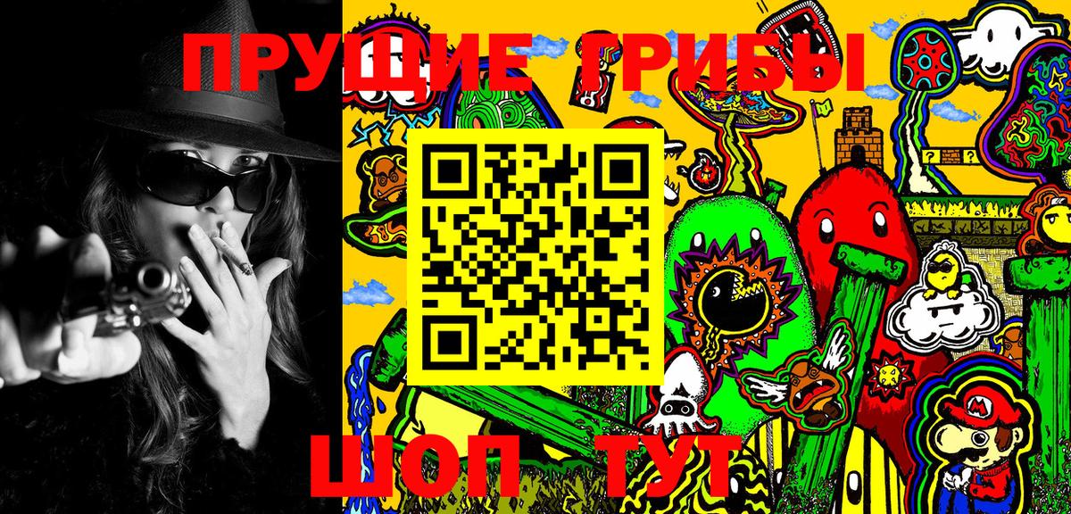Шадринск  Псилоцибиновые грибы GOLDEN TEACHER  Вход с VPN 
